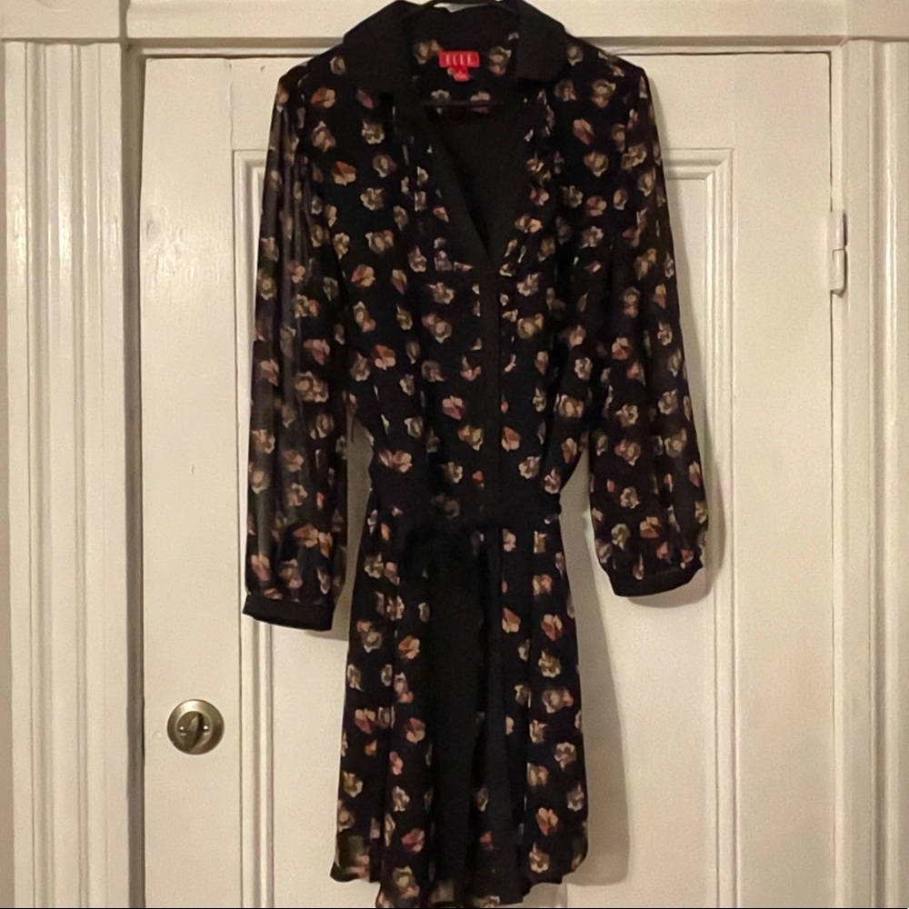 Elle long sleeve dress with sheer sleeves